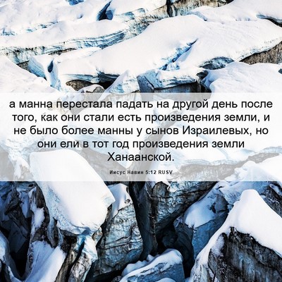 Picture 06 - Иисус Навин 5:12 RUSV - а манна перестала падать - Bible Verse Picture