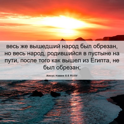 Picture 06 - Иисус Навин 5:5 RUSV - весь же вышедший народ был - Bible Verse Picture