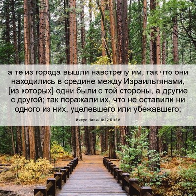 Picture 06 - Иисус Навин 8:22 RUSV - а те из города вышли - Bible Verse Picture