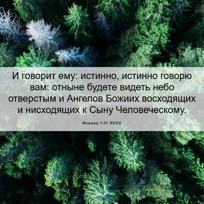 Picture 06 - Иоанна 1:51 RUSV - И говорит ему: истинно, - Bible Verse Picture