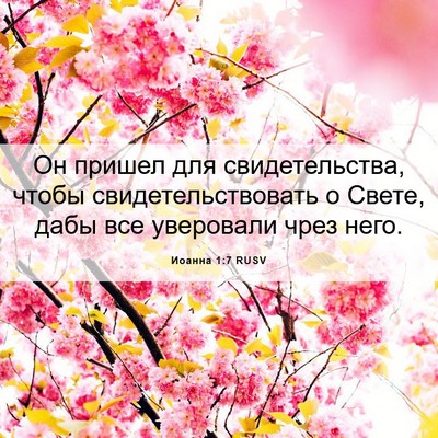 Picture 06 - Иоанна 1:7 RUSV - Он пришел для - Bible Verse Picture