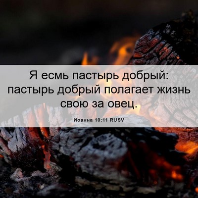 Picture 06 - Иоанна 10:11 RUSV - Я есмь пастырь добрый: - Bible Verse Picture
