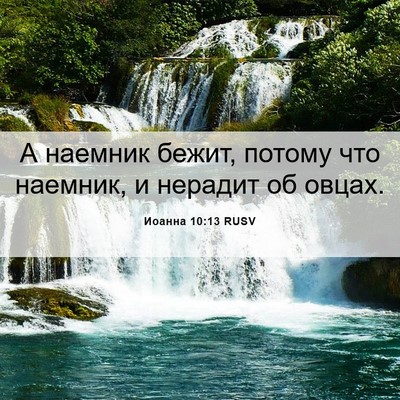 Picture 06 - Иоанна 10:13 RUSV - А наемник бежит, потому что - Bible Verse Picture
