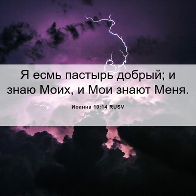Picture 06 - Иоанна 10:14 RUSV - Я есмь пастырь добрый; и - Bible Verse Picture