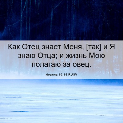Picture 06 - Иоанна 10:15 RUSV - Как Отец знает Меня, [так] и - Bible Verse Picture