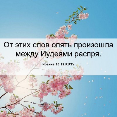 Picture 06 - Иоанна 10:19 RUSV - От этих слов опять - Bible Verse Picture