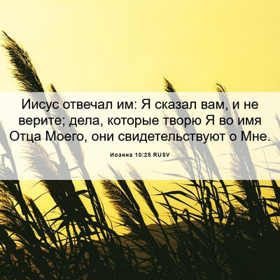 Picture 06 - Иоанна 10:25 RUSV - Иисус отвечал им: Я сказал - Bible Verse Picture