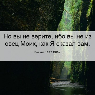 Picture 06 - Иоанна 10:26 RUSV - Но вы не верите, ибо вы не - Bible Verse Picture