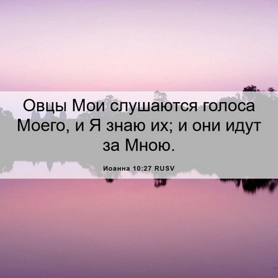 Picture 06 - Иоанна 10:27 RUSV - Овцы Мои слушаются голоса - Bible Verse Picture