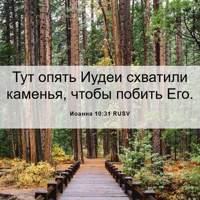 Picture 06 - Иоанна 10:31 RUSV - Тут опять Иудеи схватили - Bible Verse Picture