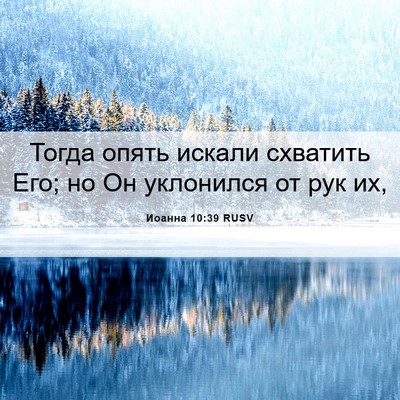 Picture 06 - Иоанна 10:39 RUSV - Тогда опять искали - Bible Verse Picture