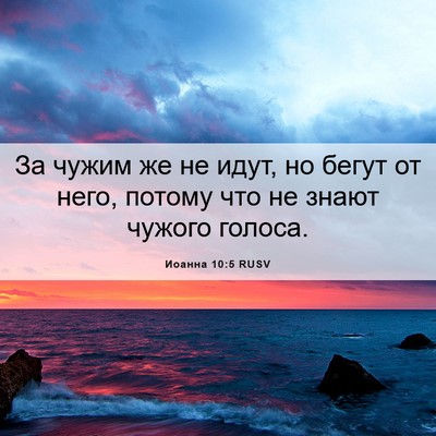 Picture 06 - Иоанна 10:5 RUSV - За чужим же не идут, но - Bible Verse Picture