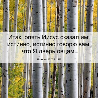 Picture 06 - Иоанна 10:7 RUSV - Итак, опять Иисус сказал - Bible Verse Picture