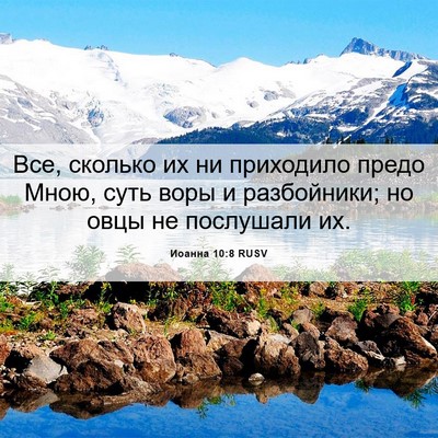 Picture 06 - Иоанна 10:8 RUSV - Все, сколько их ни - Bible Verse Picture