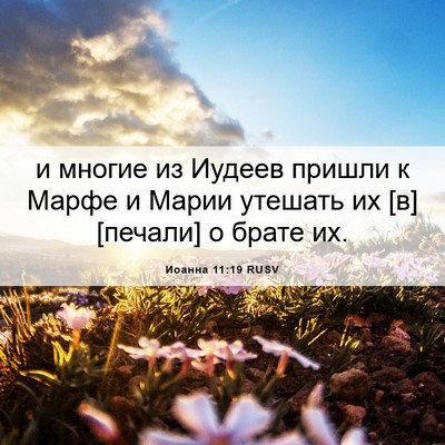 Picture 06 - Иоанна 11:19 RUSV - и многие из Иудеев пришли к - Bible Verse Picture