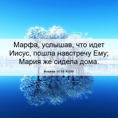 Picture 06 - Иоанна 11:20 RUSV - Марфа, услышав, что идет - Bible Verse Picture
