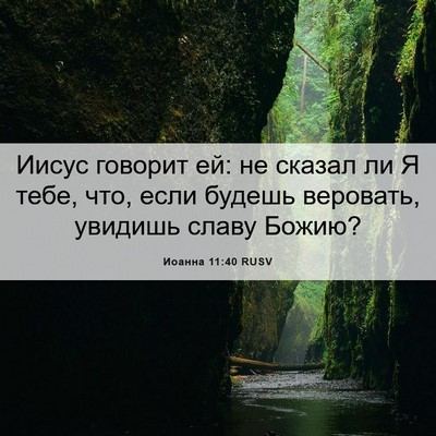 Picture 06 - Иоанна 11:40 RUSV - Иисус говорит ей: не сказал - Bible Verse Picture