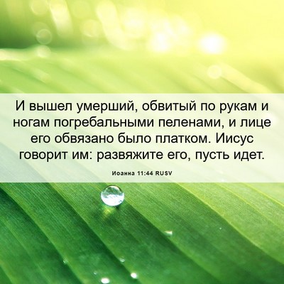 Picture 06 - Иоанна 11:44 RUSV - И вышел умерший, обвитый по - Bible Verse Picture