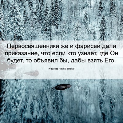 Picture 06 - Иоанна 11:57 RUSV - Первосвященники же и - Bible Verse Picture