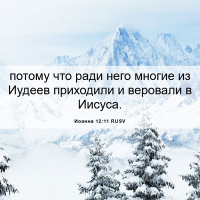 Picture 06 - Иоанна 12:11 RUSV - потому что ради него - Bible Verse Picture