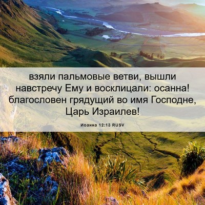 Picture 06 - Иоанна 12:13 RUSV - взяли пальмовые ветви, - Bible Verse Picture