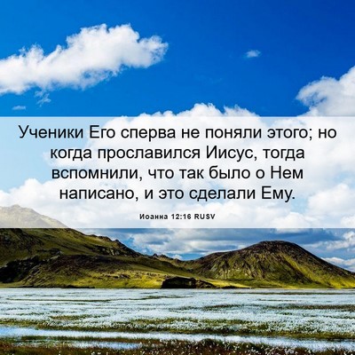 Picture 06 - Иоанна 12:16 RUSV - Ученики Его сперва не - Bible Verse Picture