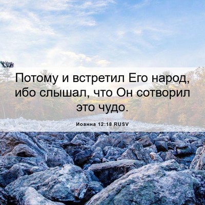 Picture 06 - Иоанна 12:18 RUSV - Потому и встретил Его - Bible Verse Picture