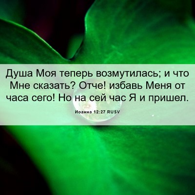 Picture 06 - Иоанна 12:27 RUSV - Душа Моя теперь - Bible Verse Picture