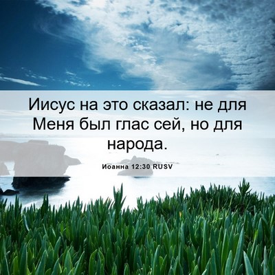 Picture 06 - Иоанна 12:30 RUSV - Иисус на это сказал: не для - Bible Verse Picture