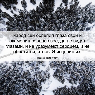 Picture 06 - Иоанна 12:40 RUSV - народ сей ослепил глаза - Bible Verse Picture