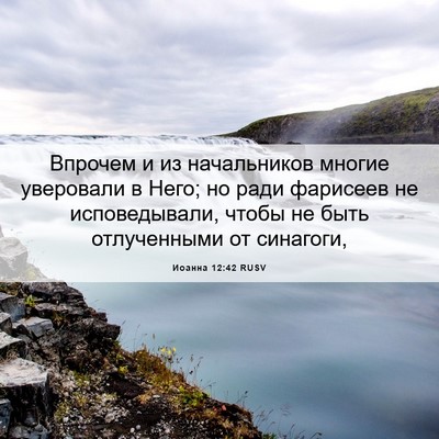 Picture 06 - Иоанна 12:42 RUSV - Впрочем и из начальников - Bible Verse Picture