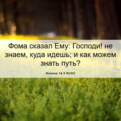 Picture 06 - Иоанна 14:5 RUSV - Фома сказал Ему: Господи! - Bible Verse Picture