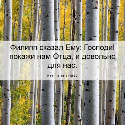Picture 06 - Иоанна 14:8 RUSV - Филипп сказал Ему: Господи! - Bible Verse Picture