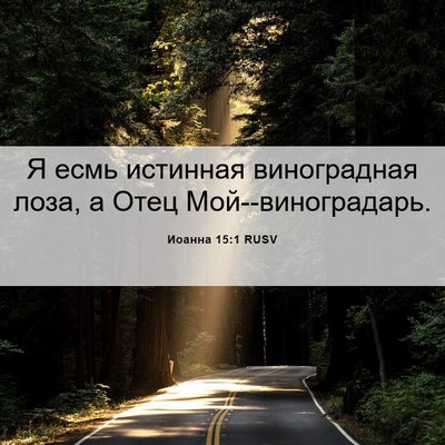 Picture 06 - Иоанна 15:1 RUSV - Я есмь истинная - Bible Verse Picture