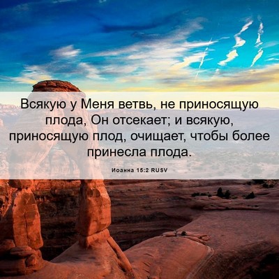 Picture 06 - Иоанна 15:2 RUSV - Всякую у Меня ветвь, не - Bible Verse Picture