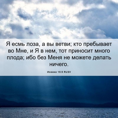 Picture 06 - Иоанна 15:5 RUSV - Я есмь лоза, а вы ветви; кто - Bible Verse Picture