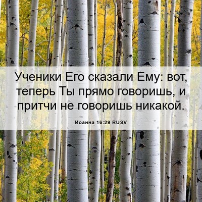 Picture 06 - Иоанна 16:29 RUSV - Ученики Его сказали Ему: - Bible Verse Picture