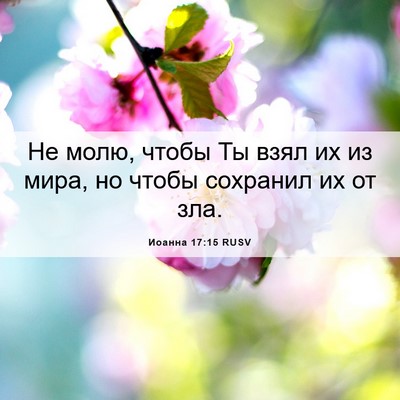 Picture 06 - Иоанна 17:15 RUSV - Не молю, чтобы Ты взял их из - Bible Verse Picture