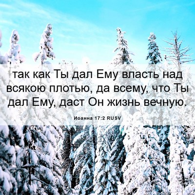 Picture 06 - Иоанна 17:2 RUSV - так как Ты дал Ему власть - Bible Verse Picture