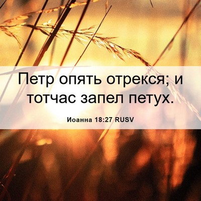 Picture 06 - Иоанна 18:27 RUSV - Петр опять отрекся; и - Bible Verse Picture