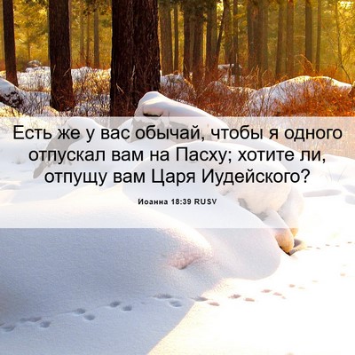 Picture 06 - Иоанна 18:39 RUSV - Есть же у вас обычай, чтобы - Bible Verse Picture