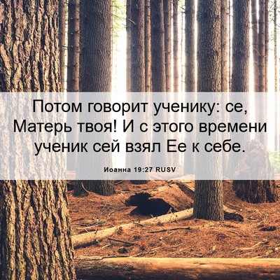 Picture 06 - Иоанна 19:27 RUSV - Потом говорит ученику: се, - Bible Verse Picture