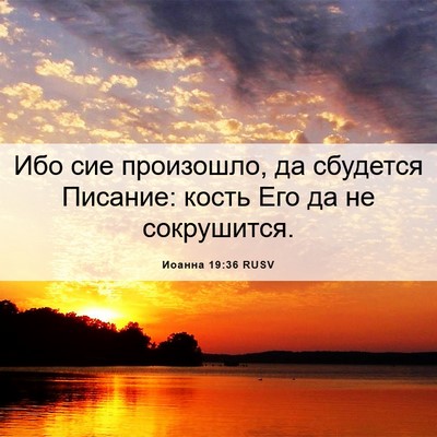 Picture 06 - Иоанна 19:36 RUSV - Ибо сие произошло, да - Bible Verse Picture