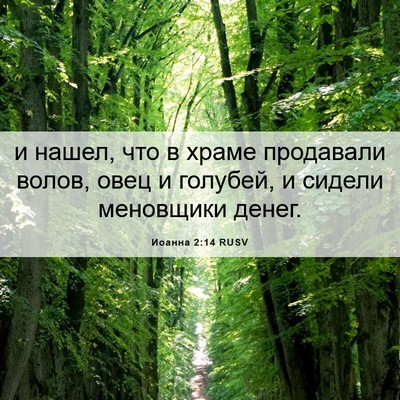 Picture 06 - Иоанна 2:14 RUSV - и нашел, что в храме - Bible Verse Picture