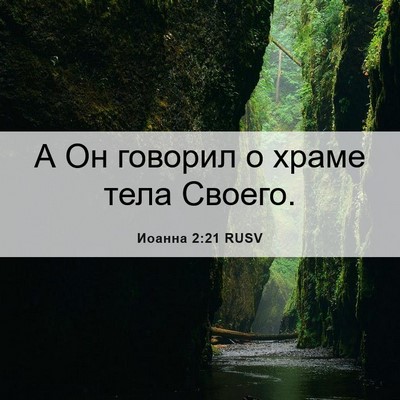 Picture 06 - Иоанна 2:21 RUSV - А Он говорил о храме тела - Bible Verse Picture