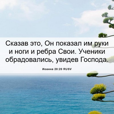 Picture 06 - Иоанна 20:20 RUSV - Сказав это, Он показал им - Bible Verse Picture