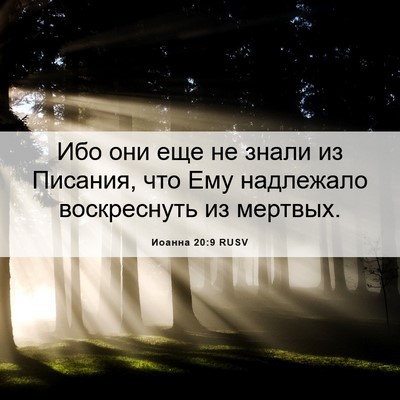Picture 06 - Иоанна 20:9 RUSV - Ибо они еще не знали из - Bible Verse Picture