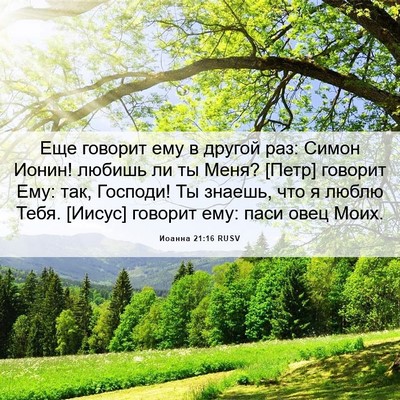 Picture 06 - Иоанна 21:16 RUSV - Еще говорит ему в другой - Bible Verse Picture