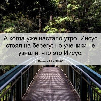 Picture 06 - Иоанна 21:4 RUSV - А когда уже настало утро, - Bible Verse Picture