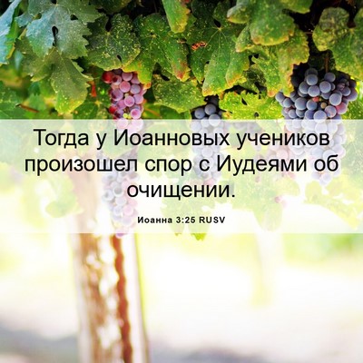 Picture 06 - Иоанна 3:25 RUSV - Тогда у Иоанновых учеников - Bible Verse Picture